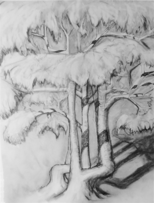 Chapter 39 - "The Laws of Nature" - MY MOSTLY HAPPY LIFE Chapter 39 - "The Laws of Nature" - MY MOSTLY HAPPY LIFE